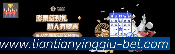 未来规划
